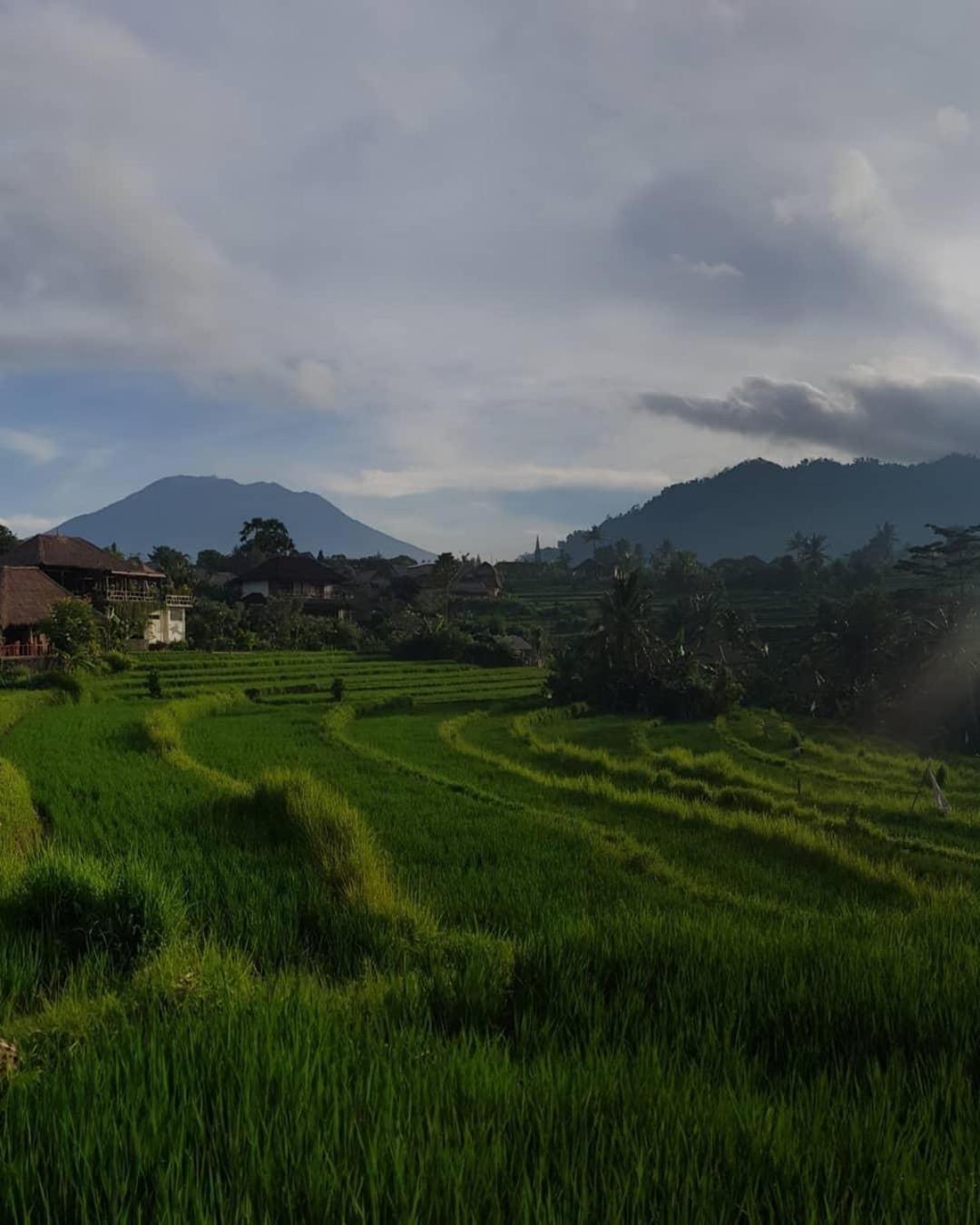 D'Janu Homestay Sidemen  Esterno foto
