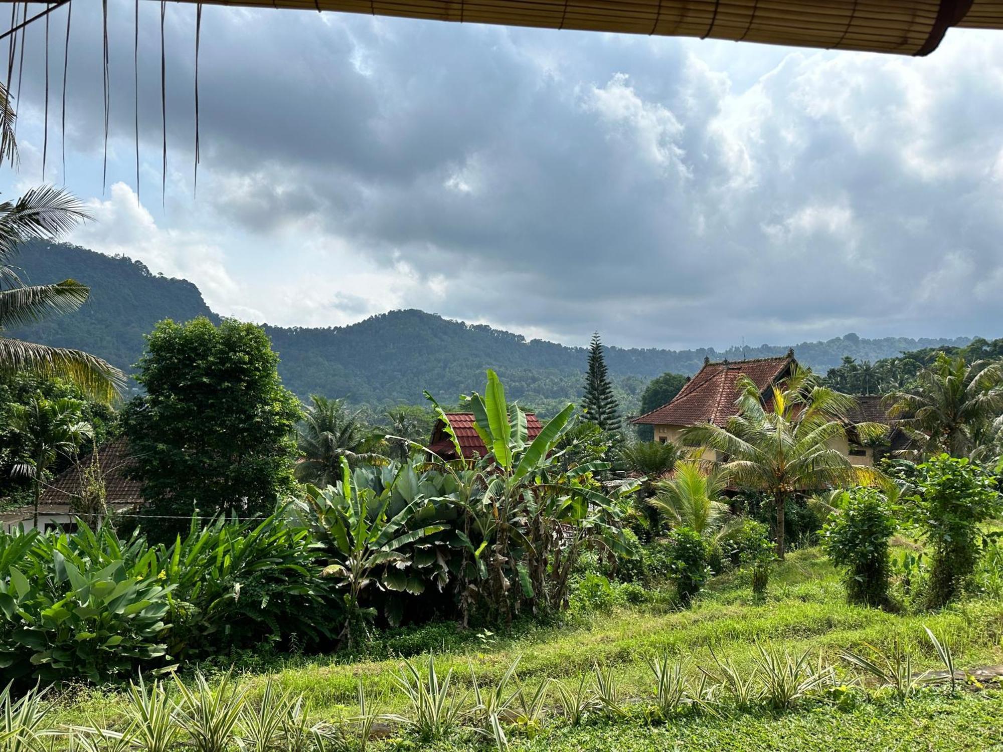 D'Janu Homestay Sidemen  Esterno foto