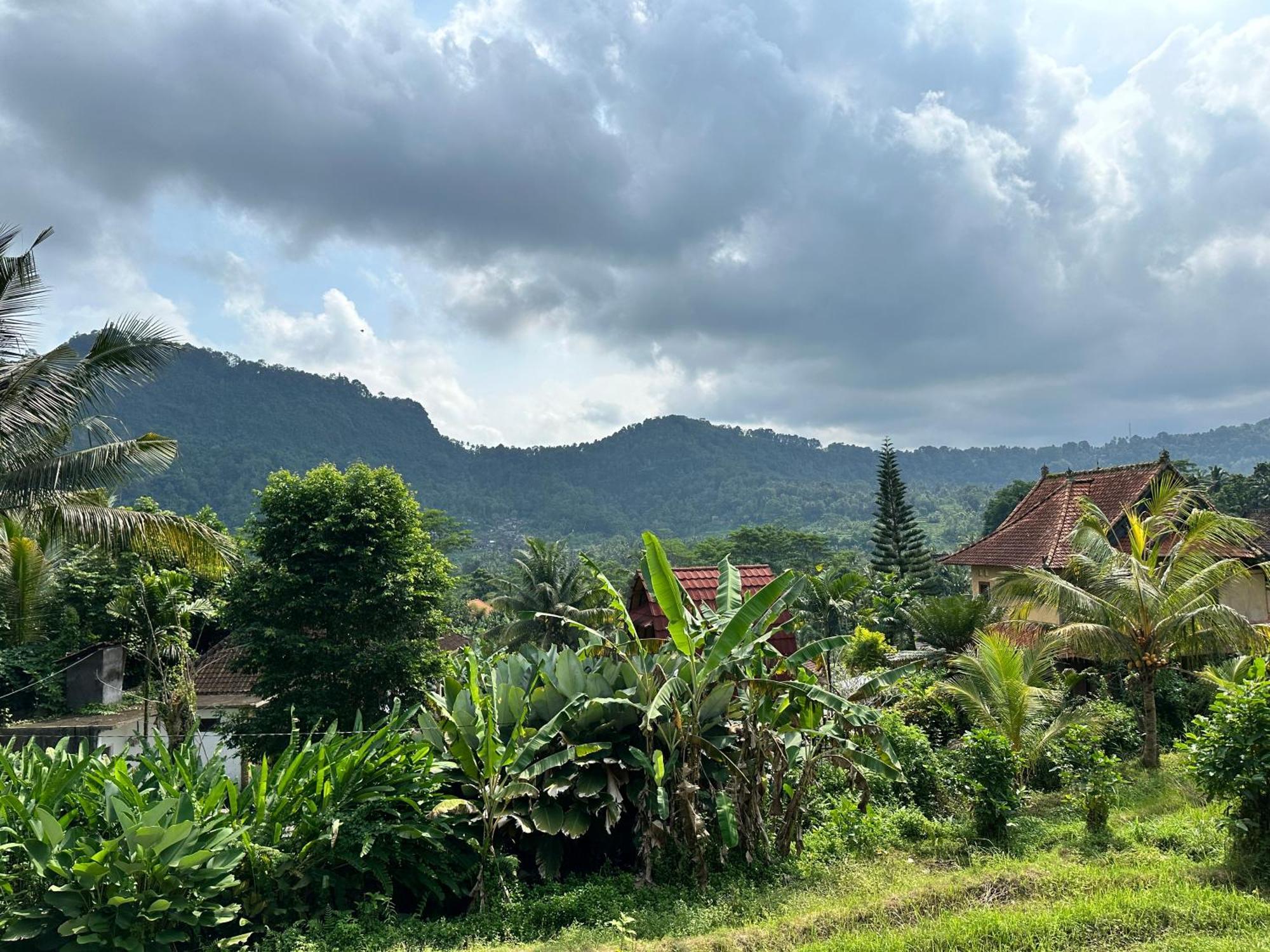 D'Janu Homestay Sidemen  Esterno foto